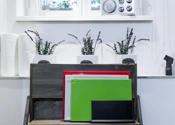 S31 - 22 Bergmannstrasse Back * Berlín